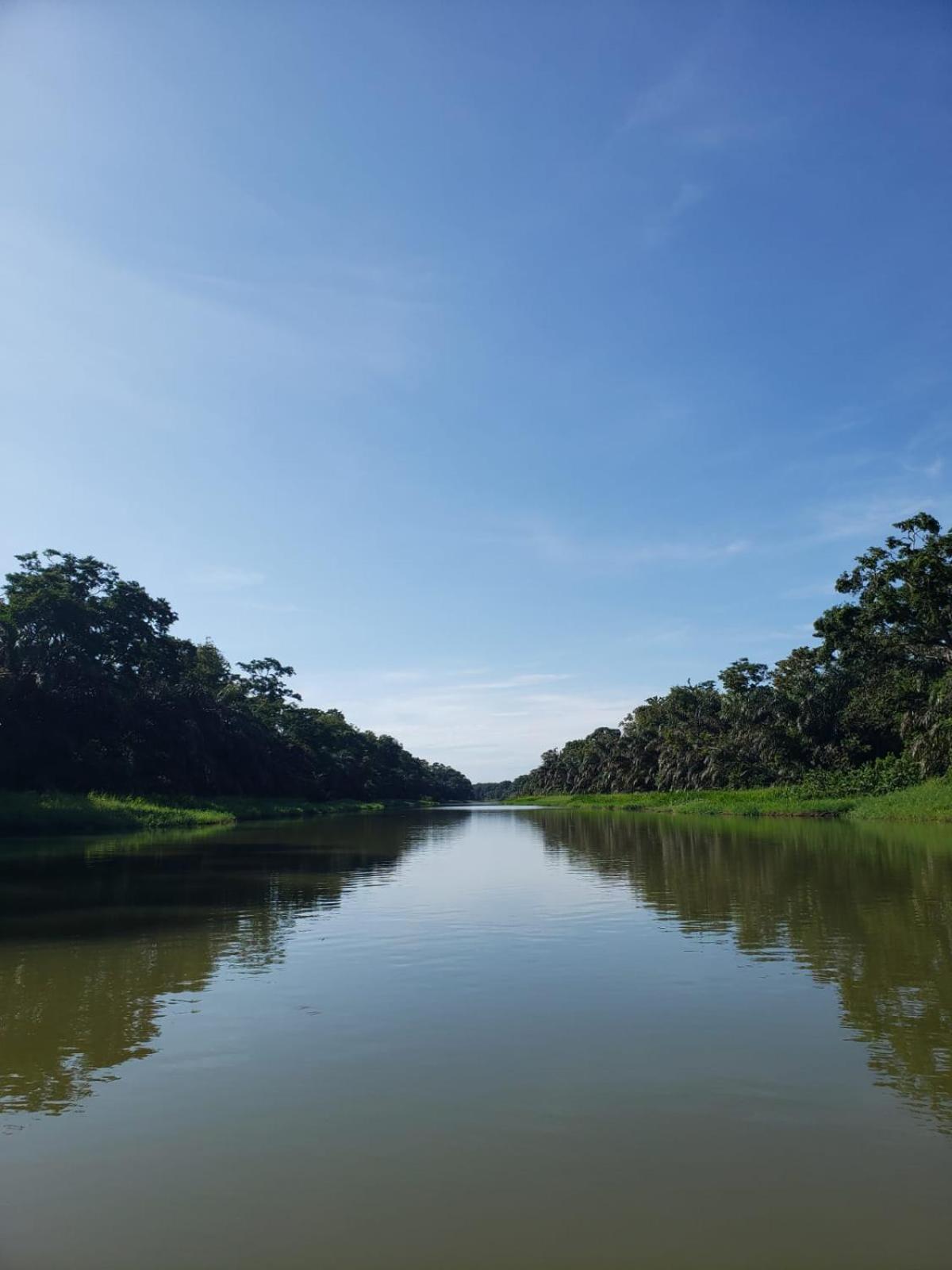 Alma Del Bosque Hotel Tortuguero Eksteriør billede