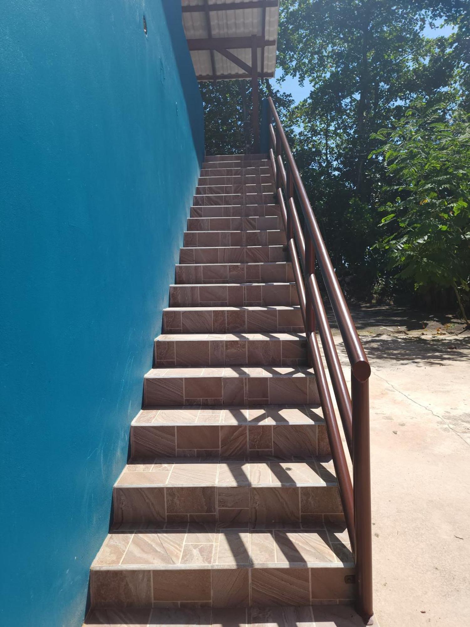 Alma Del Bosque Hotel Tortuguero Eksteriør billede
